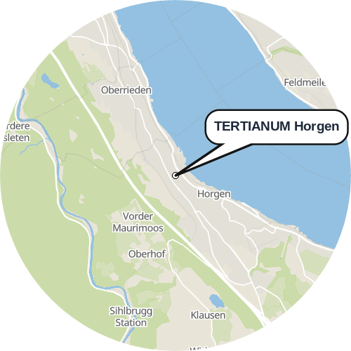 Kartenausschnitt für die Firma TERTIANUM Horgen